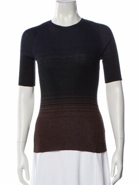 Akris Luxury Cashmere Silk Ribbed Ombre Short Sleeve Crewneck Top US 16 $1150